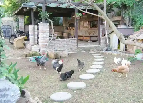 Marmaris Köy Turu
