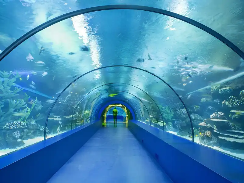 Анталийский Аквариум из Кемера – Откройте Подводный Мир! - Фото 3