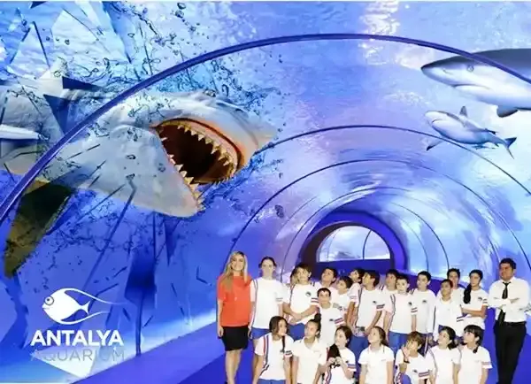 Antalya Aquarium Tour - KEMER TOURS