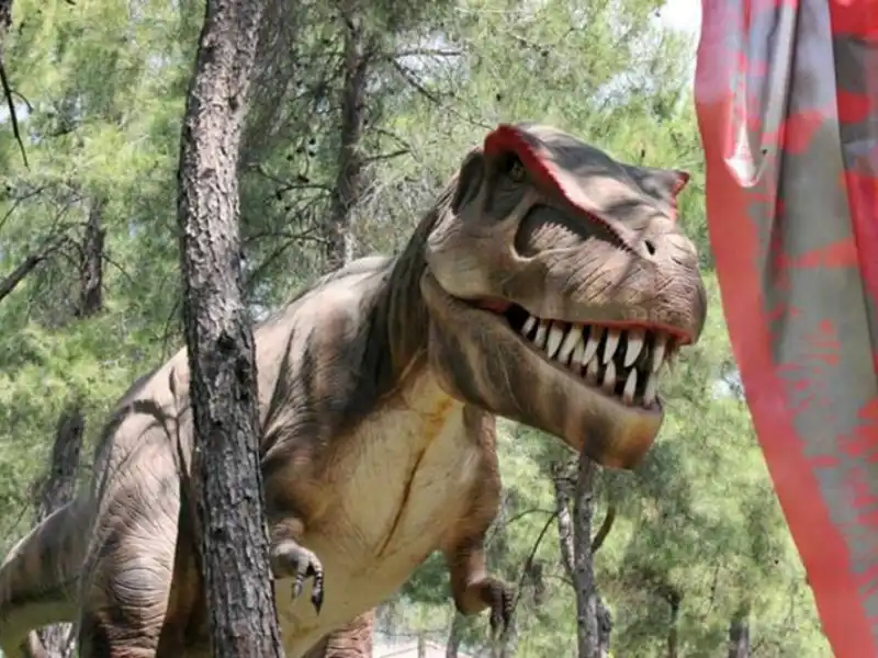 Kemer Çıkışlı Dino Park Turu – Tarih Öncesine Yolculuk! - Fotoğraf 6