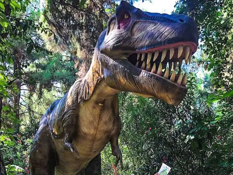 Kemer Çıkışlı Dino Park Turu – Tarih Öncesine Yolculuk! - Fotoğraf 5