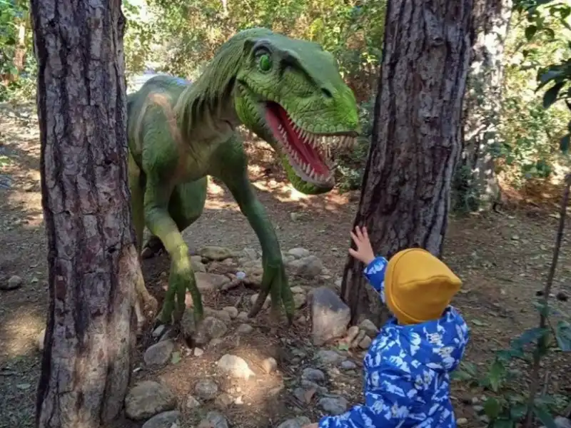 Kemer Çıkışlı Dino Park Turu – Tarih Öncesine Yolculuk! - Fotoğraf 8