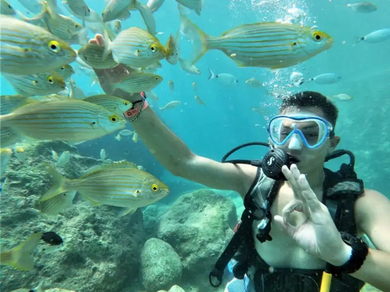 Scuba Diving Kemer – Explore the Underwater World! - Photos 12