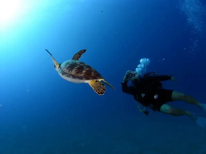 Scuba Diving Kemer – Explore the Underwater World! - Photos 13