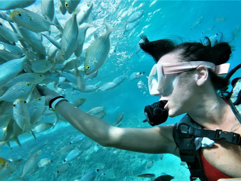 Scuba Diving Kemer – Explore the Underwater World! - Photos 16
