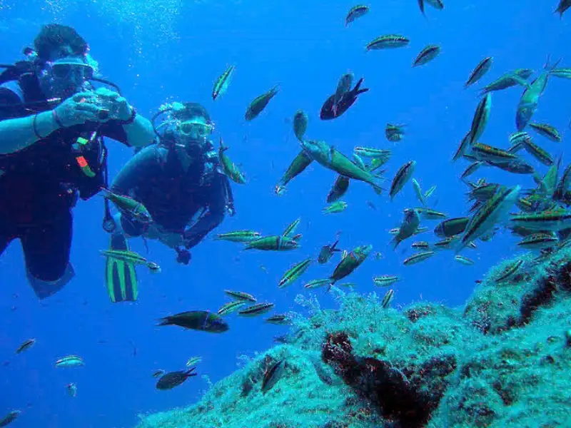 Scuba Diving Kemer – Explore the Underwater World! - Photos 11