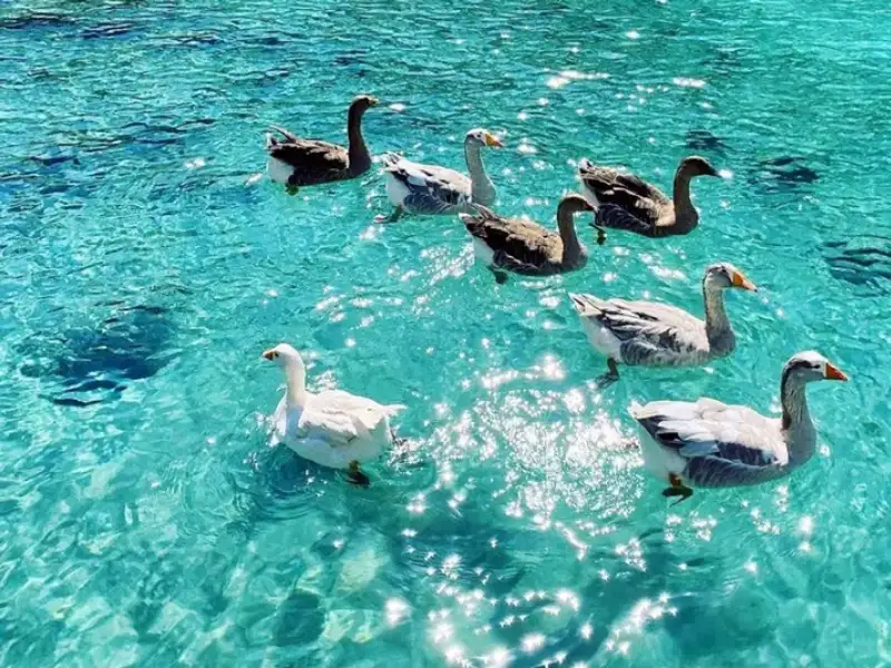 Porto Ceneviz Yacht Tour from Kemer – Sail into Turquoise Waters! - Photos 10