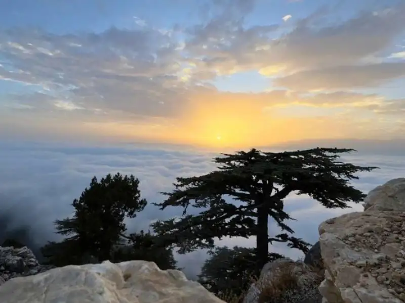 Tahtalı Mountain Sunset Jeep Safari Tour from Kemer - Photos 9