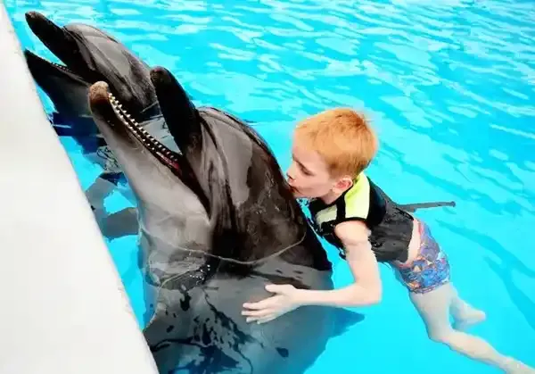 Swimming with Dolphins - KEMER TOURS